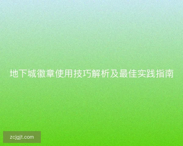 地下城徽章使用技巧解析及最佳实践指南