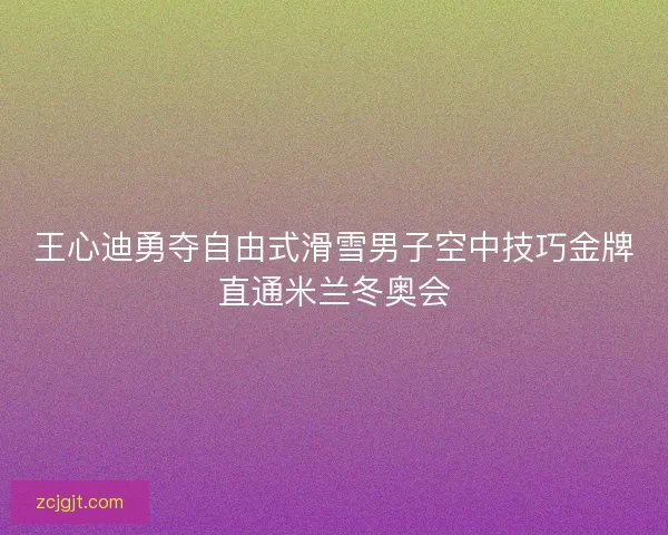 王心迪勇夺自由式滑雪男子空中技巧金牌直通米兰冬奥会