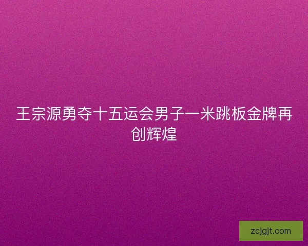 王宗源勇夺十五运会男子一米跳板金牌再创辉煌