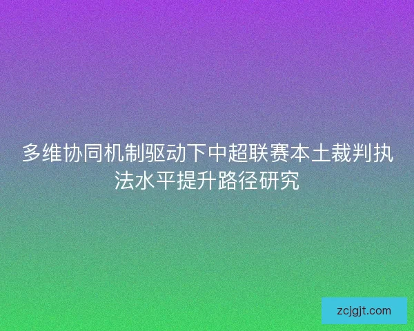 多维协同机制驱动下中超联赛本土裁判执法水平提升路径研究